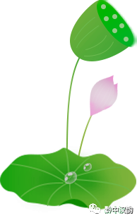 青团的由来和寓意 雅集 ▏青团篇