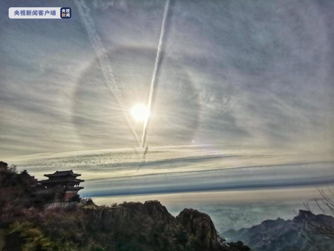 【8点见】西安大数据资源管理局局长被停职检查！