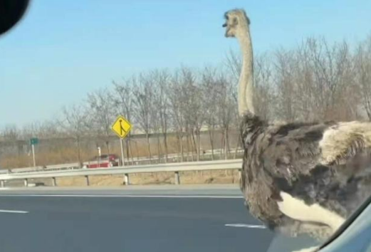 【8点见】西安大数据资源管理局局长被停职检查！