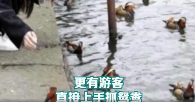 【8点见】荆州巨型关公像将搬迁 耗资4000万-微信头条网 【8点见】荆州巨型关公像将搬迁 耗资4000万