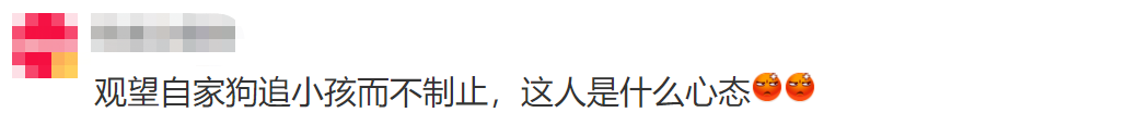 思考人生呢？狗追咬路人，主人仍“闲庭信步”