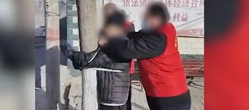一传百咋传的?扎堆领“免费鸡蛋”-微信头条网 一传百咋传的?扎堆领“免费鸡蛋”