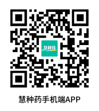 2024年11月1日中药材价格及分析