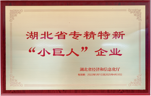 艾米森2022年度关键词发布！