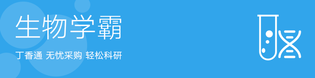 论文写作 | Mac下最好用作图软件，没有之一