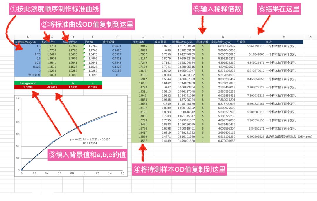 獻給初學者 Wb 如何1 分鐘蛋白定量 送模板 生物學霸 微文庫