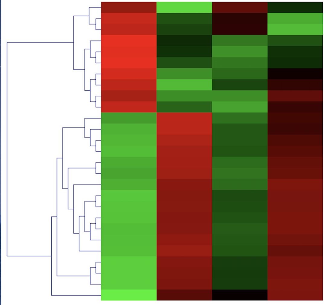 heatmap(热图)表示的基因差异化表达