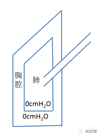 呼吸机f指什么呼吸机名词解释（三）_https://www.jmylbn.com_新闻资讯_第4张