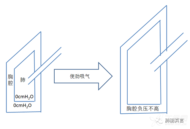 呼吸机f指什么呼吸机名词解释（三）_https://www.jmylbn.com_新闻资讯_第5张