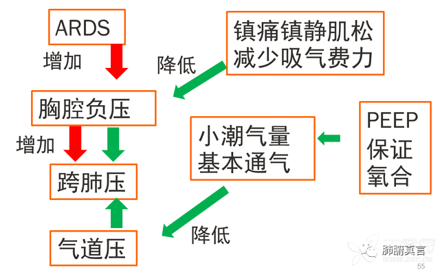 呼吸机f指什么呼吸机名词解释（三）_https://www.jmylbn.com_新闻资讯_第2张
