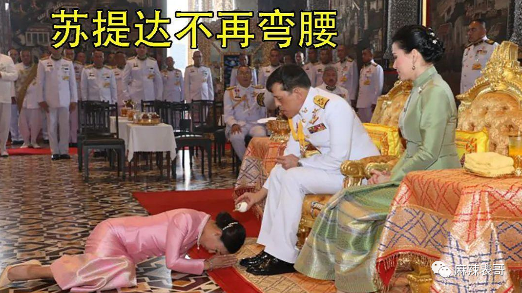 揭秘泰王5位妻子：最美王妃裸爬喂狗，曾是脱衣舞女（组图） - 31