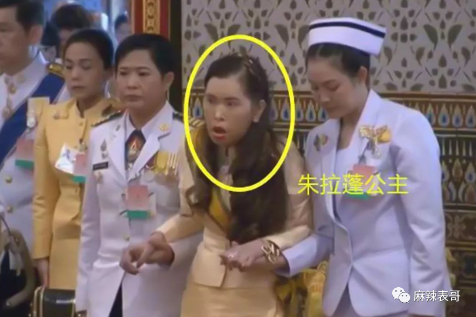 揭秘泰王5位妻子：最美王妃裸爬喂狗，曾是脱衣舞女（组图） - 8