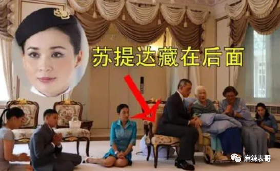 揭秘泰王5位妻子：最美王妃裸爬喂狗，曾是脱衣舞女（组图） - 26