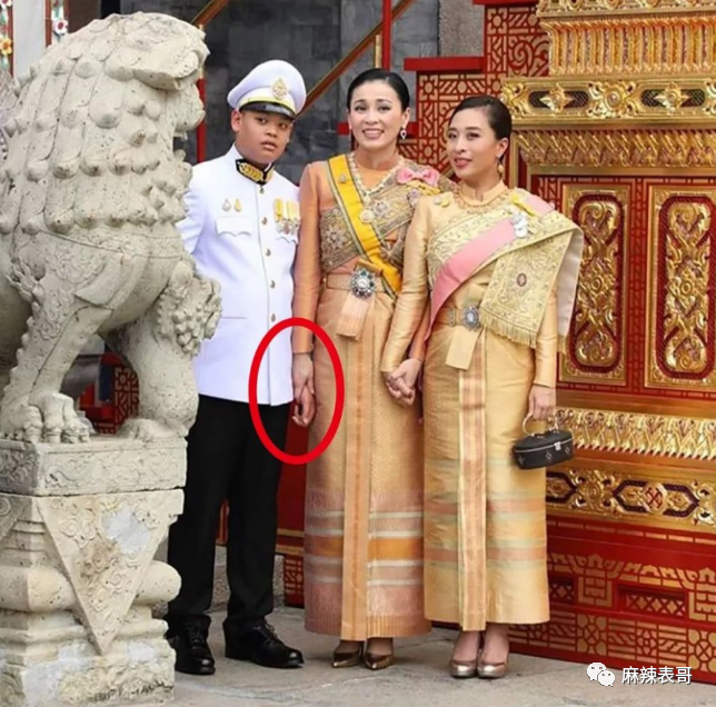 揭秘泰王5位妻子：最美王妃裸爬喂狗，曾是脱衣舞女（组图） - 29