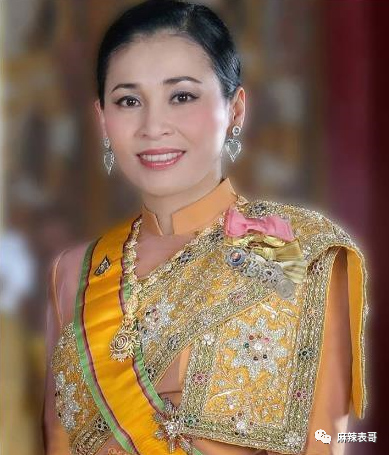 揭秘泰王5位妻子：最美王妃裸爬喂狗，曾是脱衣舞女（组图） - 24