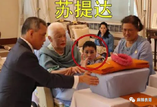 揭秘泰王5位妻子：最美王妃裸爬喂狗，曾是脱衣舞女（组图） - 27