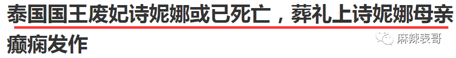 揭秘泰王5位妻子：最美王妃裸爬喂狗，曾是脱衣舞女（组图） - 43