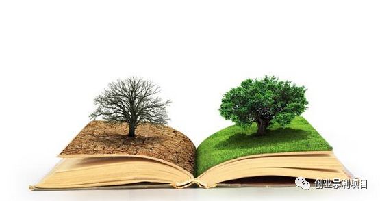 创业暴利项目培训_当下热门的创业项目_当下新的暴利创业项目