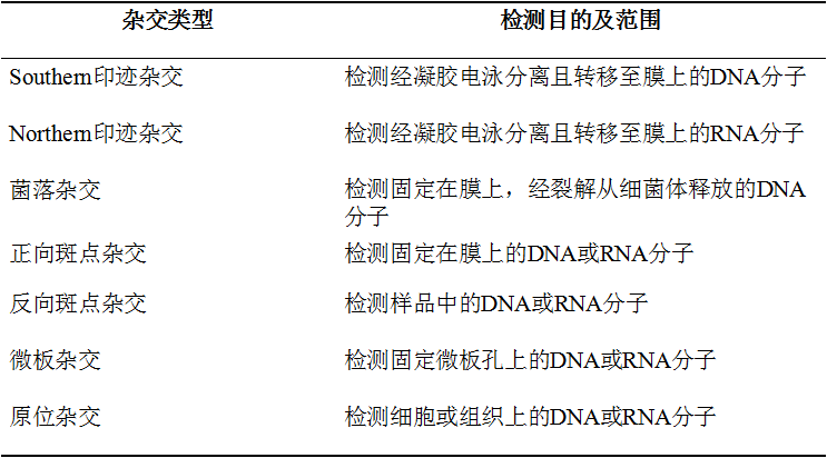 核酸雜交的基本過程