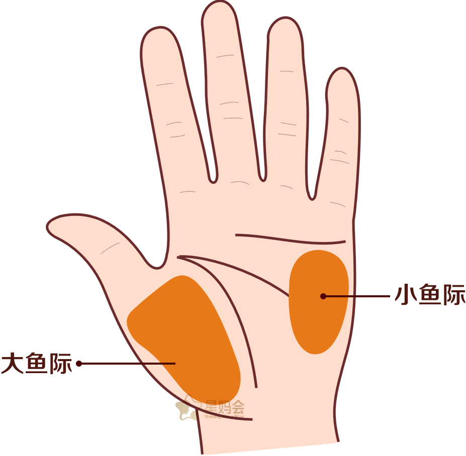 飞鹤,积食,先别吃药!聪明妈妈这3招,超管用 - 飞鹤官方旗舰店