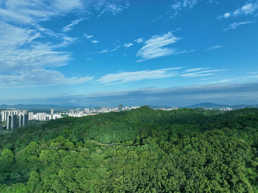 “一号工程”成下个十年抢手热门，这里卷出*的“产品力”