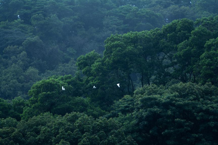 “一号工程”成下个十年抢手热门，这里卷出*的“产品力”