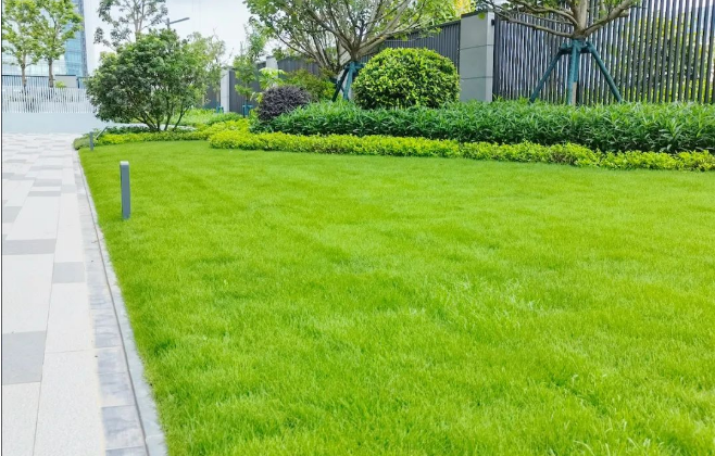 什么样的交付力与兑现力，才配得上湾区“*强大脑”？