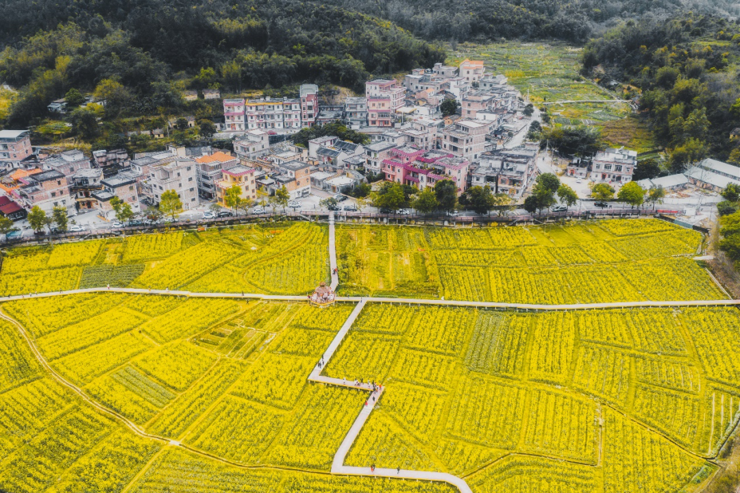 离世界*近的地方，广州打造大湾区空铁联运经济新*！