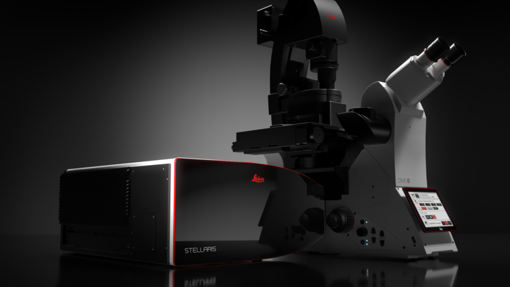 共聚焦超多標(biāo)成像流程專題講座：探索超多標(biāo)成像與AI數(shù)據(jù)分析的奧秘