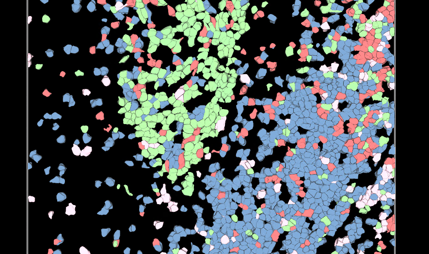 Aivia 14發(fā)布會(huì)：開啟3D空間生物學(xué)分析新紀(jì)元