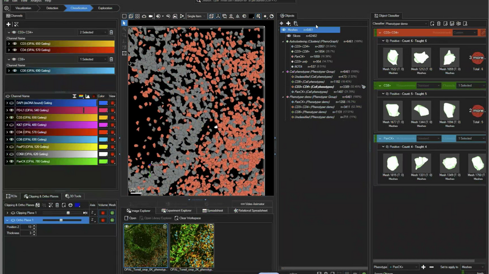 Aivia 14發(fā)布會(huì)：開啟3D空間生物學(xué)分析新紀(jì)元