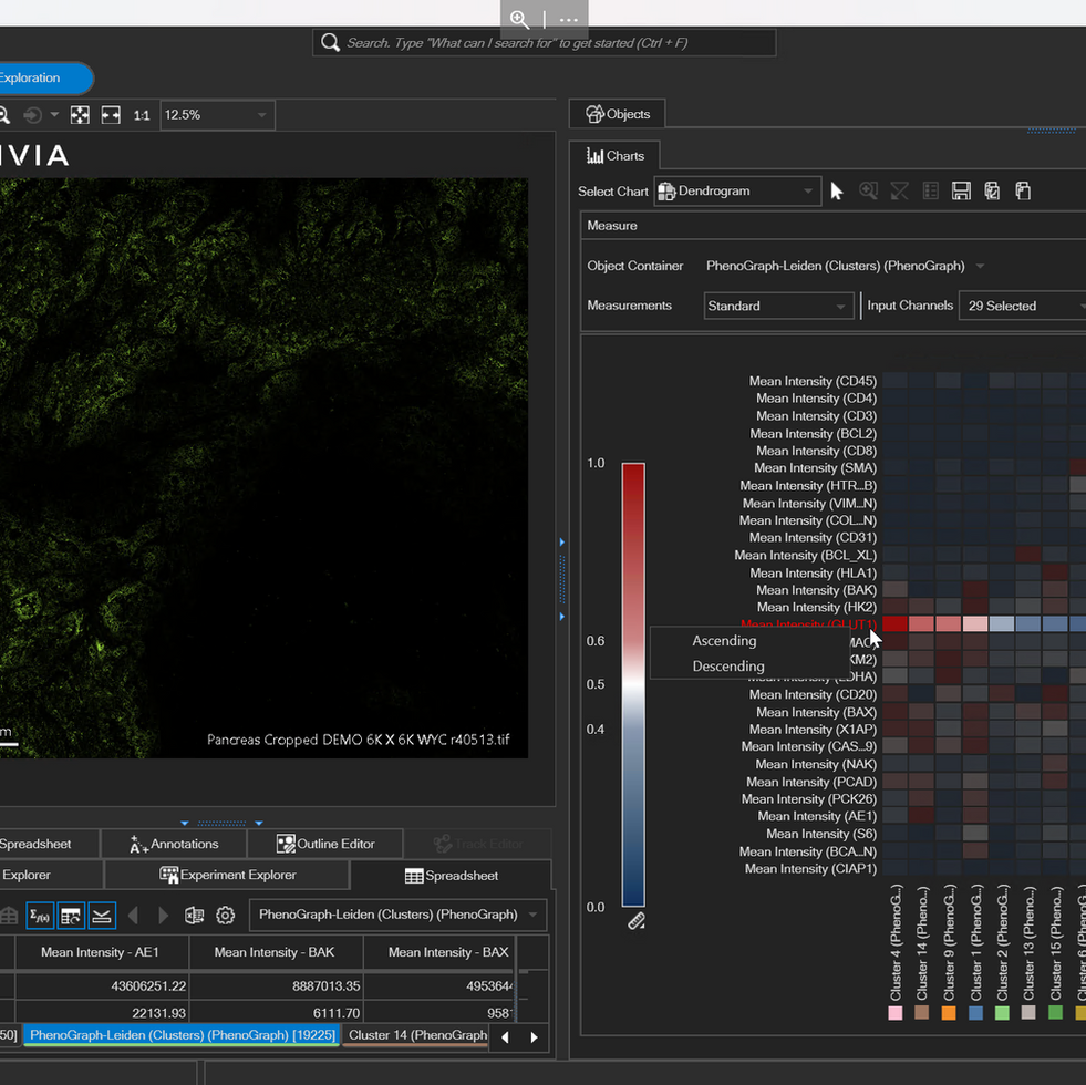 Aivia 14發(fā)布會(huì)：開啟3D空間生物學(xué)分析新紀(jì)元