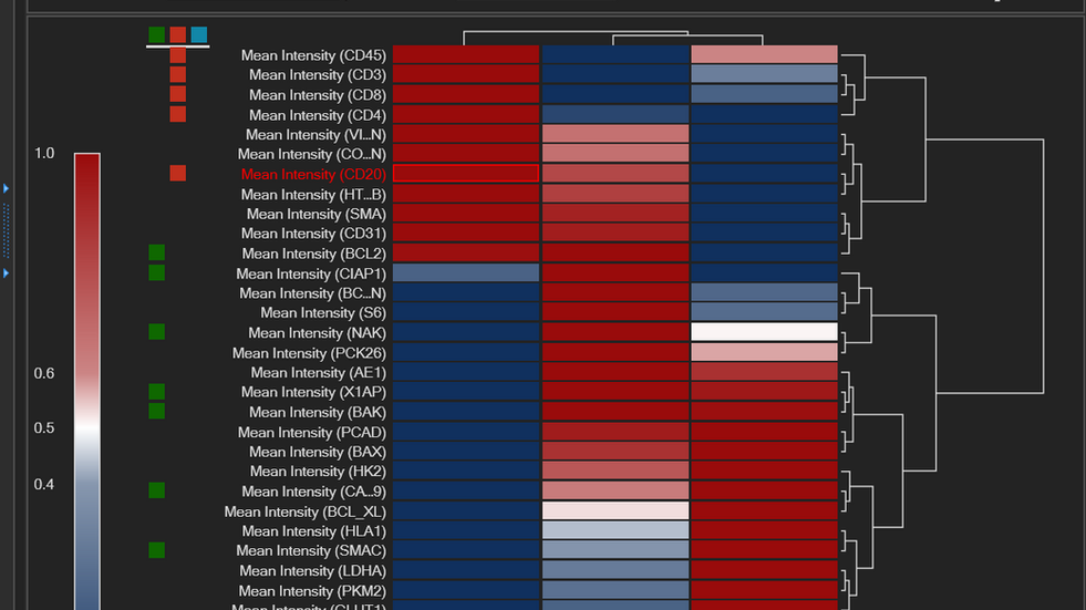 Aivia 14發(fā)布會(huì)：開啟3D空間生物學(xué)分析新紀(jì)元
