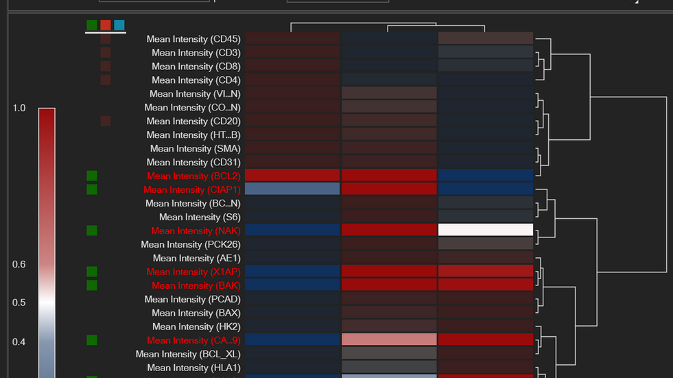 Aivia 14發(fā)布會(huì)：開啟3D空間生物學(xué)分析新紀(jì)元