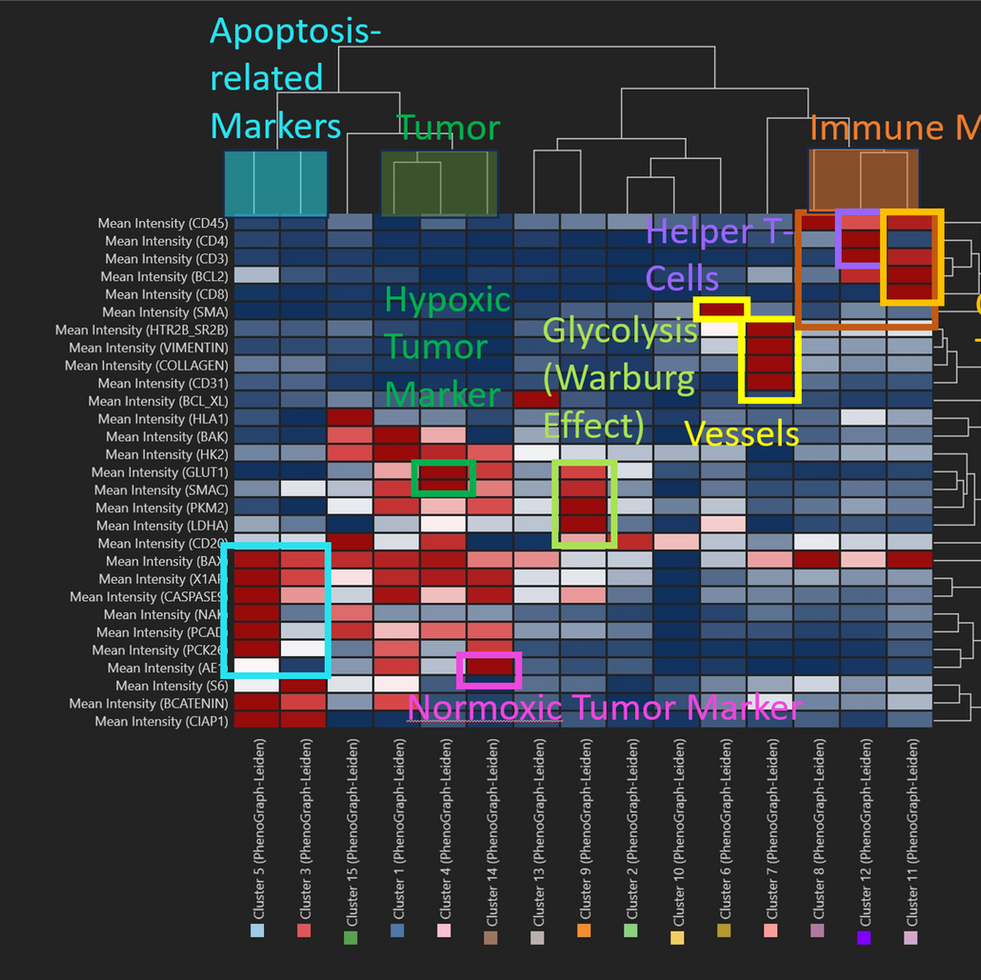 Aivia 14發(fā)布會(huì)：開啟3D空間生物學(xué)分析新紀(jì)元