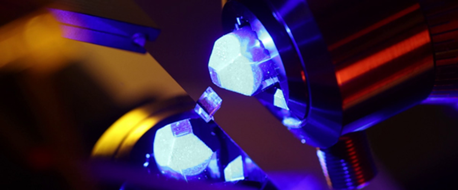 領(lǐng)拓聚焦 | 超薄切片機(jī)新品發(fā)布會(huì)暨電鏡前處理設(shè)備分享會(huì)