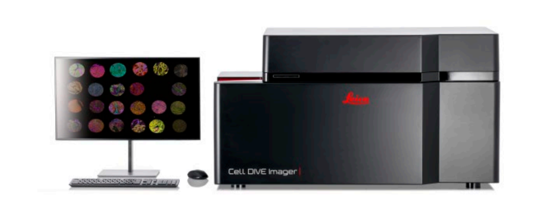 徠卡精準(zhǔn)空間生物學(xué)解決方案 第四彈