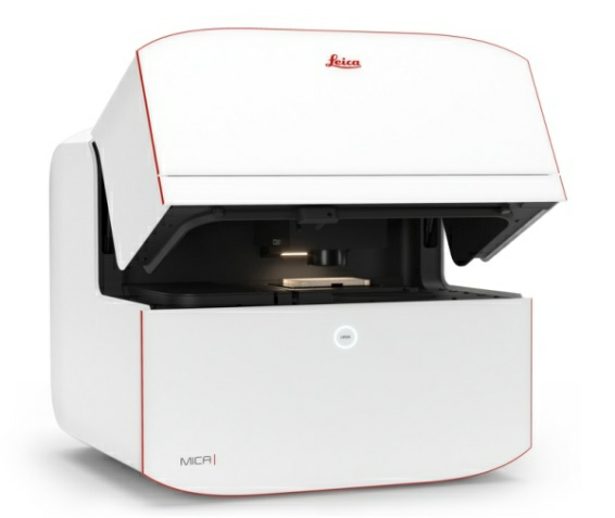 阿爾茨海默癥(AD)機(jī)制研究中的組織及細(xì)胞光學(xué)成像（上篇）