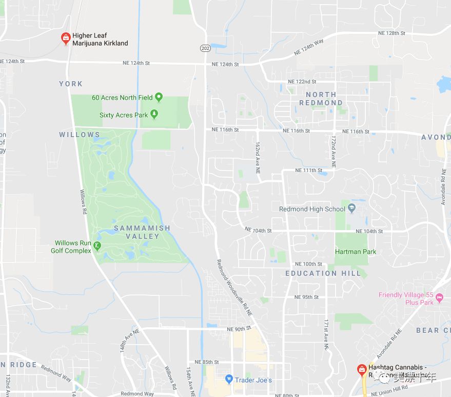 大麻 吸一口民主的味道 美漂十年 微信公众号文章阅读 Wemp