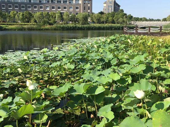 盛夏关怀 公司行政人事部慰问一线工友(图2)