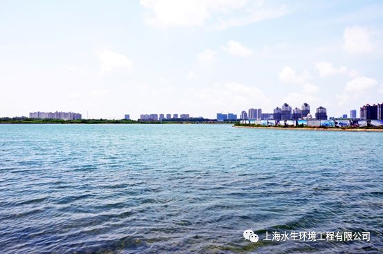 用心描绘长三角一体化发展的生态底色(图1)