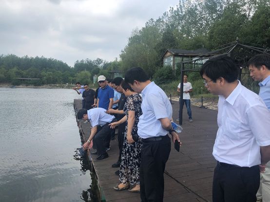 我司合肥金葡萄湖项目喜迎四名两院院士莅临调研(图2)