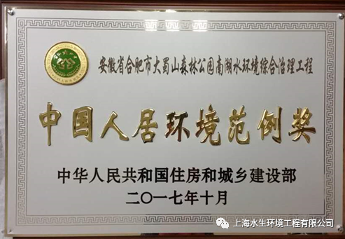 数载耕耘 合肥水环境生态治理润物无声(图3)