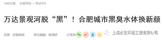 数载耕耘 合肥水环境生态治理润物无声(图1)