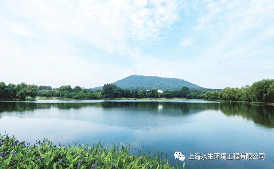 数载耕耘 合肥水环境生态治理润物无声(图4)