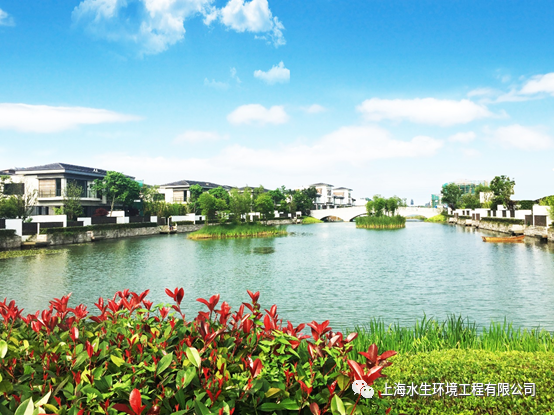 我司出席第十五届中国国际水务高峰论坛(图3)