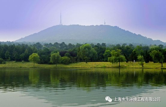 国际湿地城市认证提名考察组来我司合肥项目考察(图5)