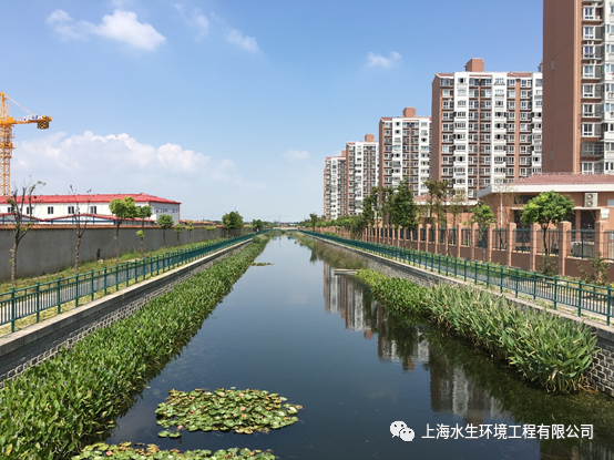 王丽卿教授出席市水务局（市海洋局）第二期水务海洋科技论坛(图2)