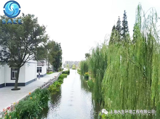 王丽卿教授出席市水务局(市海洋局)第二期水务海洋科技论坛(图3)
