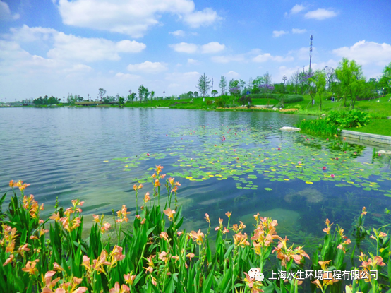 与时俱进 逐梦幸福河湖(图1)